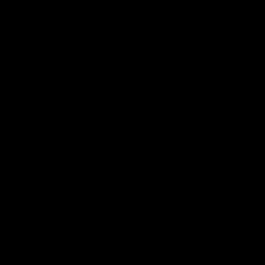 Franfranciscas bundle (everyone ignore)